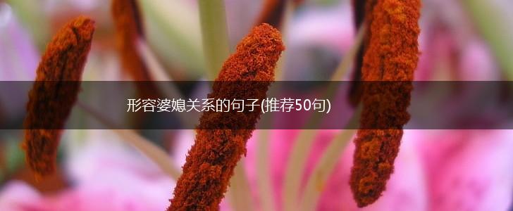 形容婆媳关系的句子(推荐50句),第1张