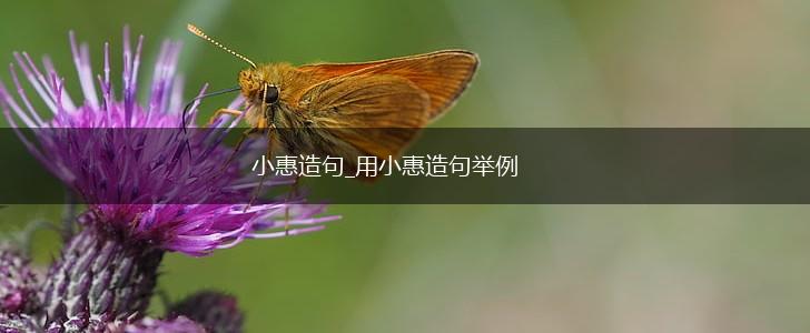 小惠造句_用小惠造句举例,第1张 小惠造句_用小惠造句举例,第1张