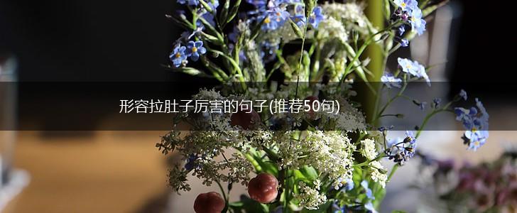 形容拉肚子厉害的句子(推荐50句),第1张