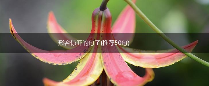 形容惊吓的句子(推荐50句),第1张