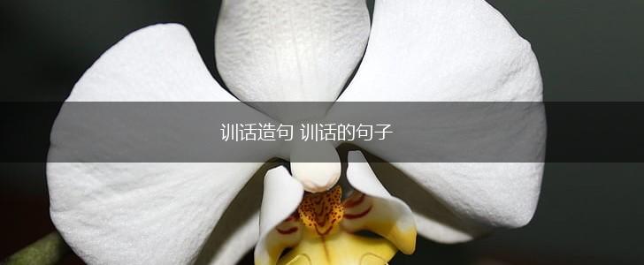 训话造句 训话的句子,第1张 训话造句 训话的句子,第1张