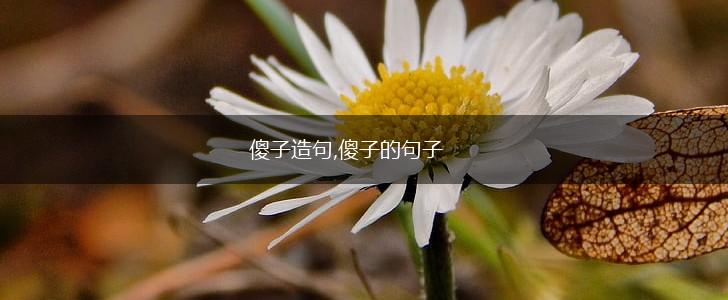 傻子造句,傻子的句子,第1张 傻子造句,傻子的句子,第1张