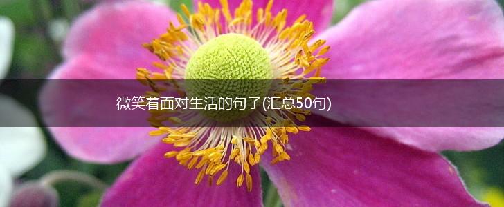 微笑着面对生活的句子(汇总50句),第1张
