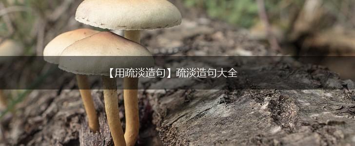 【用疏淡造句】疏淡造句大全,第1张