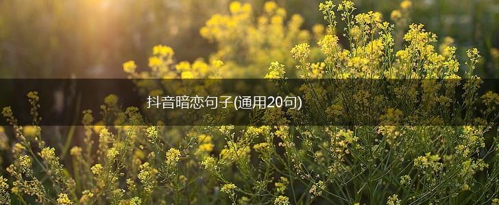 抖音暗恋句子(通用20句),第1张