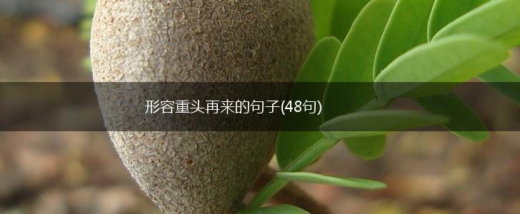 形容重头再来的句子(48句),第1张