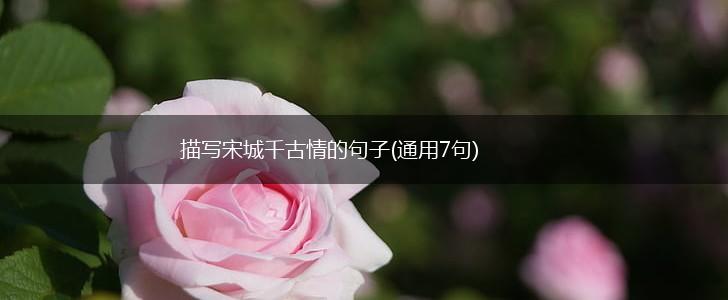 描写宋城千古情的句子(通用7句),第1张