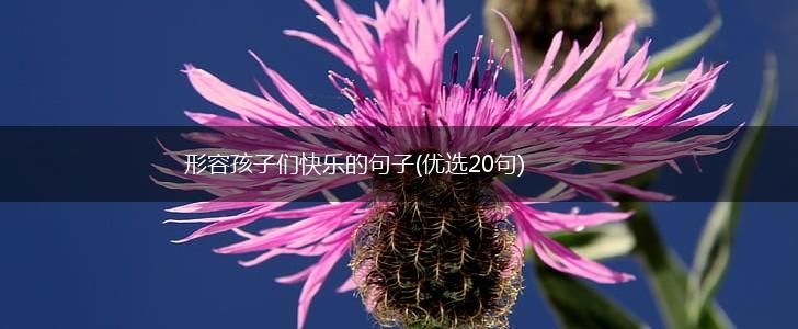 形容孩子们快乐的句子(优选20句),第1张