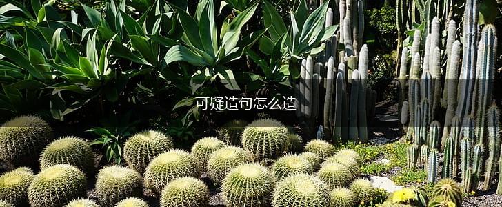可疑造句怎么造,第1张