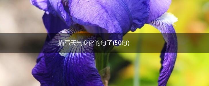 描写天气变化的句子(50句),第1张