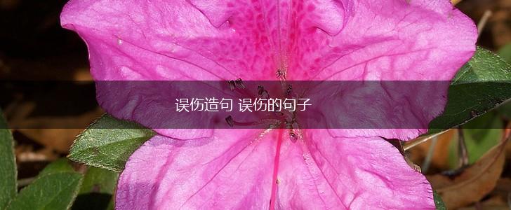 误伤造句 误伤的句子,第1张 误伤造句 误伤的句子,第1张