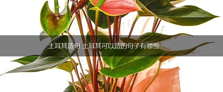 土耳其造句 土耳其可以造的句子有哪些,第1张 土耳其造句 土耳其可以造的句子有哪些,第1张