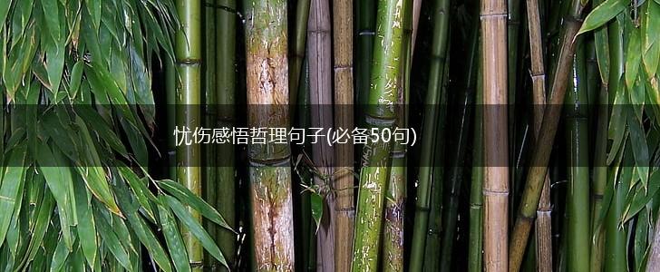 忧伤感悟哲理句子(必备50句),第1张