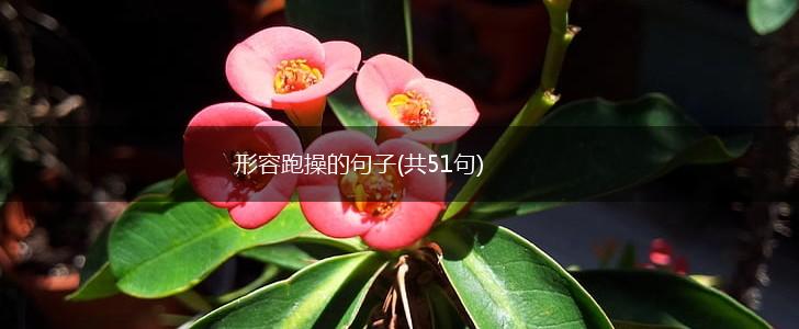 形容跑操的句子(共51句),第1张