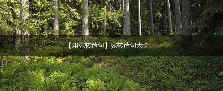 【用宛转造句】宛转造句大全,第1张 【用宛转造句】宛转造句大全,第1张