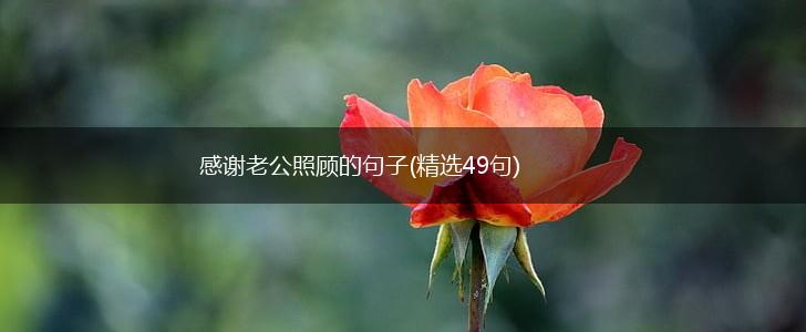 感谢老公照顾的句子(精选49句),第1张