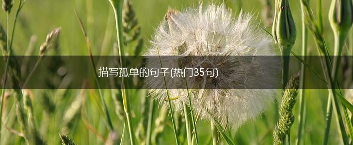 描写孤单的句子(热门35句),第1张
