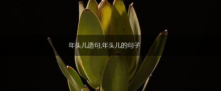 年头儿造句,年头儿的句子,第1张 年头儿造句,年头儿的句子,第1张