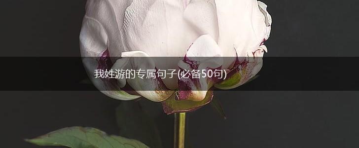 我姓游的专属句子(必备50句),第1张