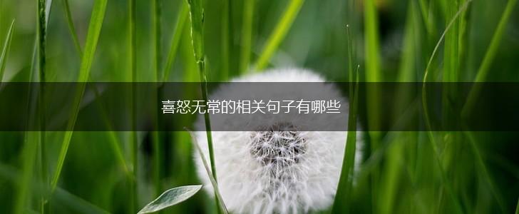 喜怒无常的相关句子有哪些,第1张 喜怒无常的相关句子有哪些,第1张