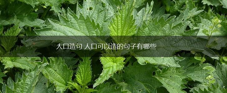 人口造句 人口可以造的句子有哪些,第1张 人口造句 人口可以造的句子有哪些,第1张