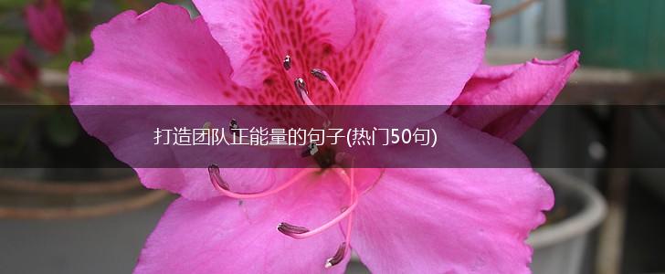打造团队正能量的句子(热门50句),第1张