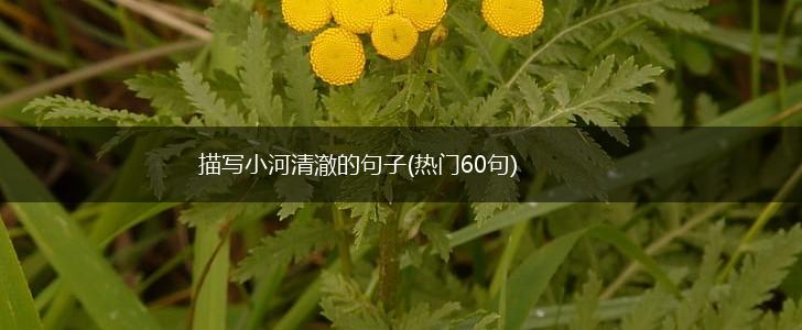 描写小河清澈的句子(热门60句),第1张