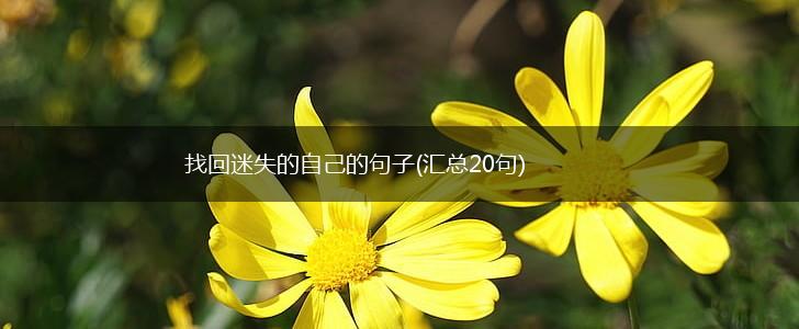 找回迷失的自己的句子(汇总20句),第1张