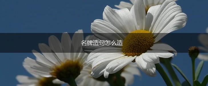 名牌造句怎么造,第1张