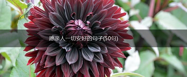 愿亲人一切安好的句子(50句),第1张
