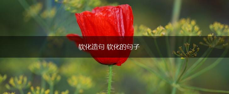 软化造句 软化的句子,第1张 软化造句 软化的句子,第1张