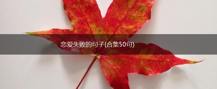 恋爱失败的句子(合集50句),第1张