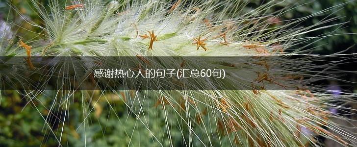 感谢热心人的句子(汇总60句),第1张