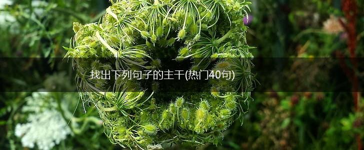 找出下列句子的主干(热门40句),第1张