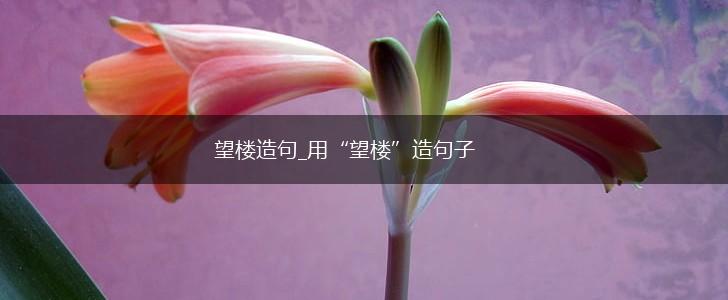 望楼造句_用“望楼”造句子,第1张 望楼造句_用“望楼”造句子,第1张