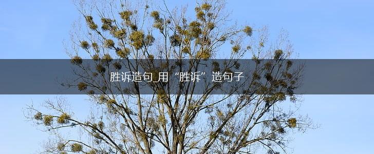 胜诉造句_用“胜诉”造句子,第1张 胜诉造句_用“胜诉”造句子,第1张