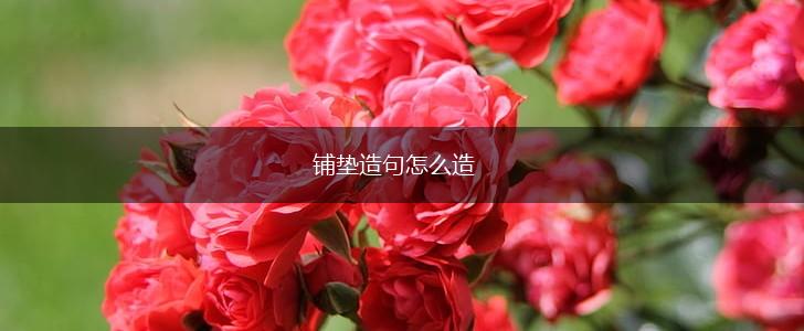 铺垫造句怎么造,第1张 铺垫造句怎么造,第1张