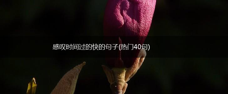 感叹时间过的快的句子(热门40句),第1张
