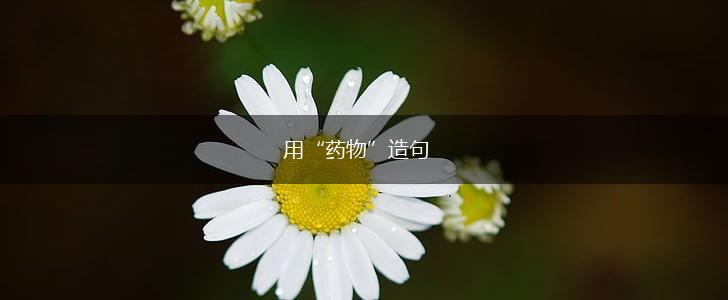用“药物”造句,第1张