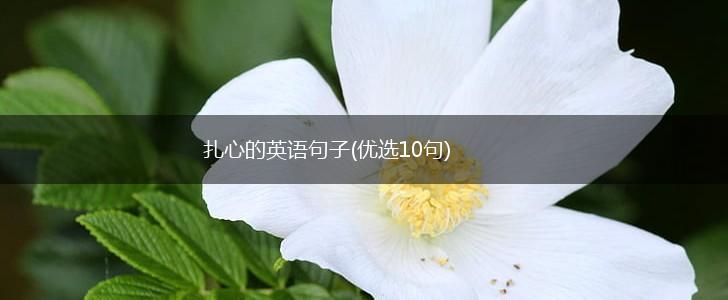 扎心的英语句子(优选10句),第1张