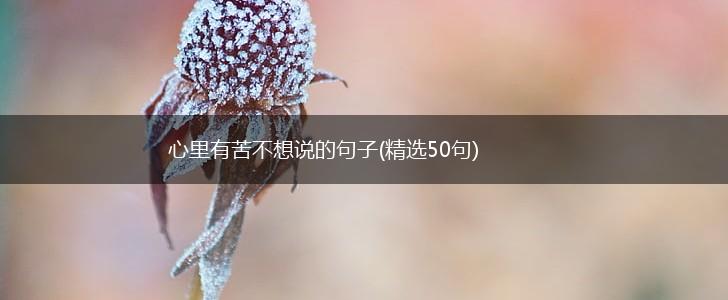 心里有苦不想说的句子(精选50句),第1张