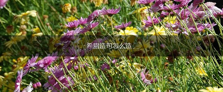 希腊造句怎么造,第1张 希腊造句怎么造,第1张