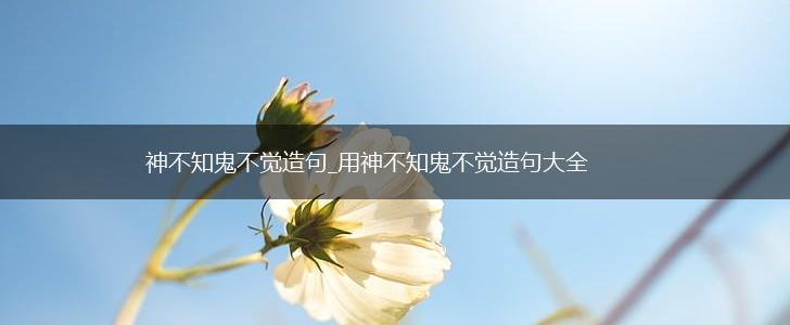 神不知鬼不觉造句_用神不知鬼不觉造句大全,第1张
