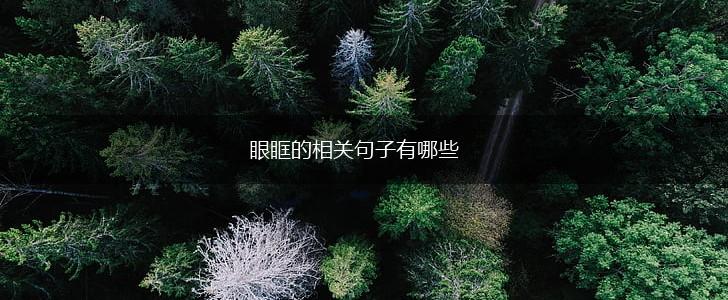 眼眶的相关句子有哪些,第1张 眼眶的相关句子有哪些,第1张