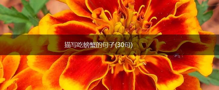 描写吃螃蟹的句子(30句),第1张