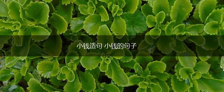 小钱造句 小钱的句子,第1张 小钱造句 小钱的句子,第1张