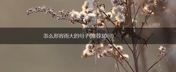 怎么形容雨大的句子(推荐30句),第1张