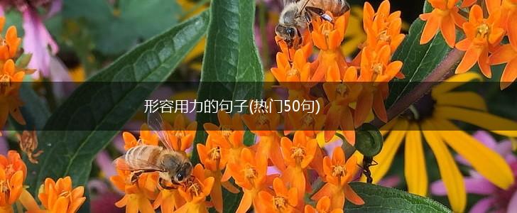 形容用力的句子(热门50句),第1张