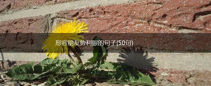 形容朋友势利眼的句子(50句),第1张