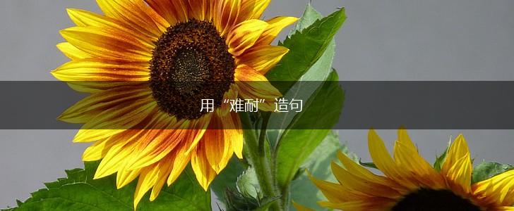 用“难耐”造句,第1张 用“难耐”造句,第1张